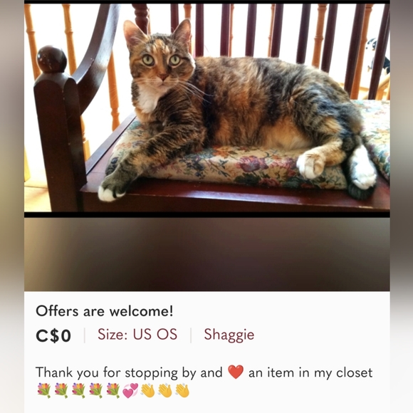 🌺HOST PICK🌺 ♥️ Nic&Syd Women’s DIVA Watch with Swarovski Crystals, Silver - Picture 12 of 12